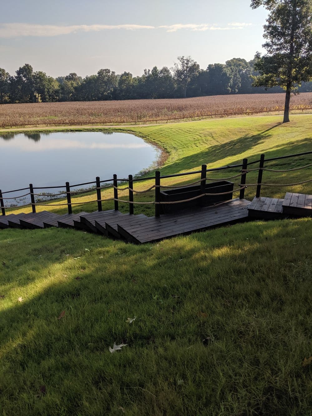 Wooden steps leading to a serene pond surrounded by green grass and trees.
